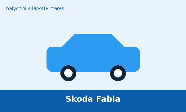 Skoda Fabia helyszíni autó átvizsgálás és állapotfelmérés vásárlás előtt